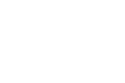CyberNordic Logo